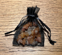 Coralite Stone Chipstone Bracelet - Look How They Shine