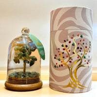 Green Aventurine Gemstone Dome Garden - Look How They Shine