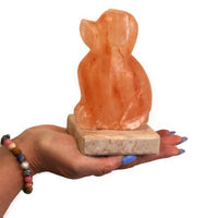 Himalayan Crystal Salt Lamp - USB Dog Shaped (Multi) - Look How They Shine