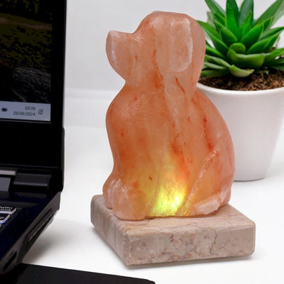 Himalayan Crystal Salt Lamp - USB Dog Shaped (Multi) - Look How They Shine