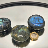 Labradorite Crystal Palmstone - Look How They Shine