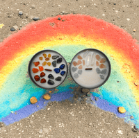 Pride Edition - 8oz The Pride Collection Candle - Look How They Shine