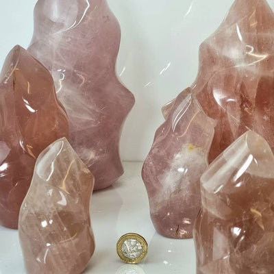 Rose Quartz Crystal Flames 200 - 300g - Look How They Shine