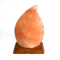 Shape Salt Lamp - Fern - Look How They Shine