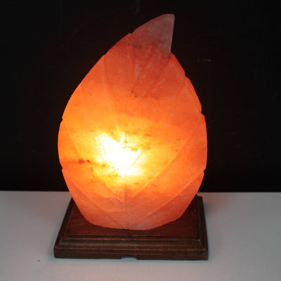 Shape Salt Lamp - Fern - Look How They Shine