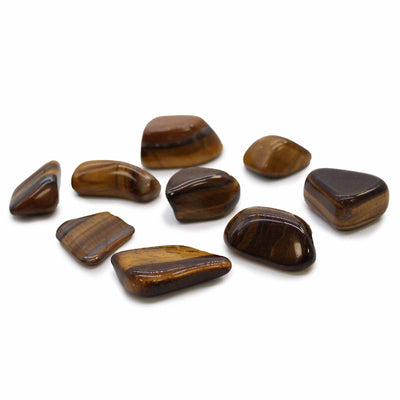 Tiger's Eye - Gold - Tumble Stone - Look How They Shine